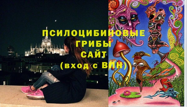 гашик Алзамай