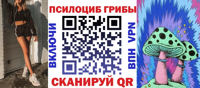 дарнет шоп  Бирск  Псилоцибиновые грибы Psilocybine cubensis 