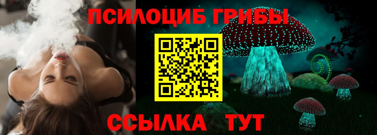 закладка  Вход с VPN  Бирск  Псилоцибиновые грибы Cubensis  Псилоцибиновые грибы Cubensis 